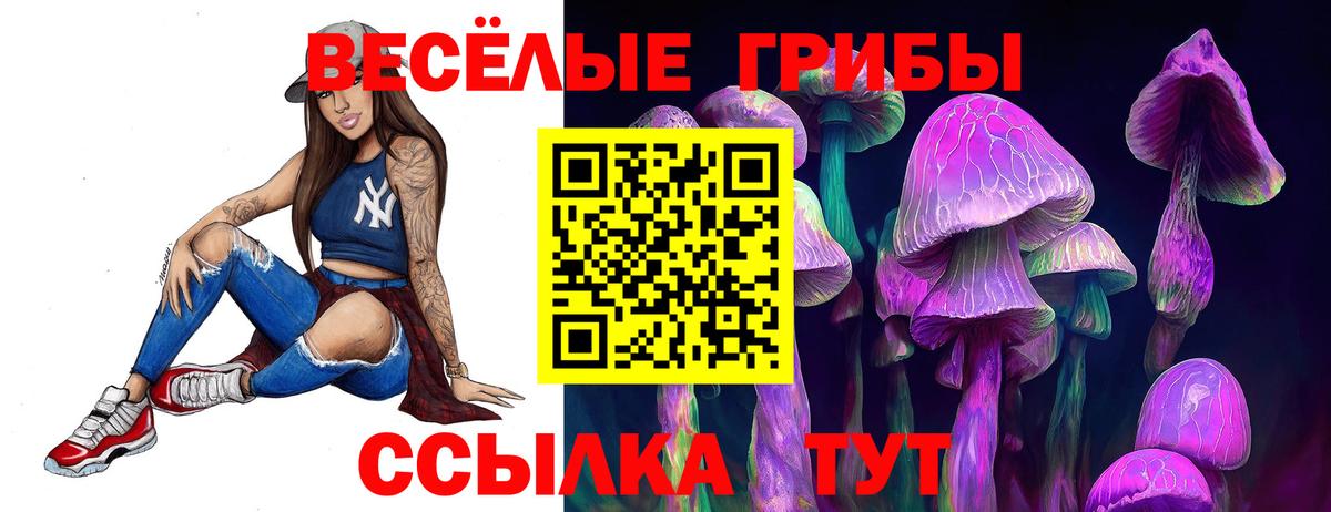 Псилоцибиновые грибы прущие грибы  Псилоцибиновые грибы прущие грибы  Вход с VPN  Гусиноозёрск 